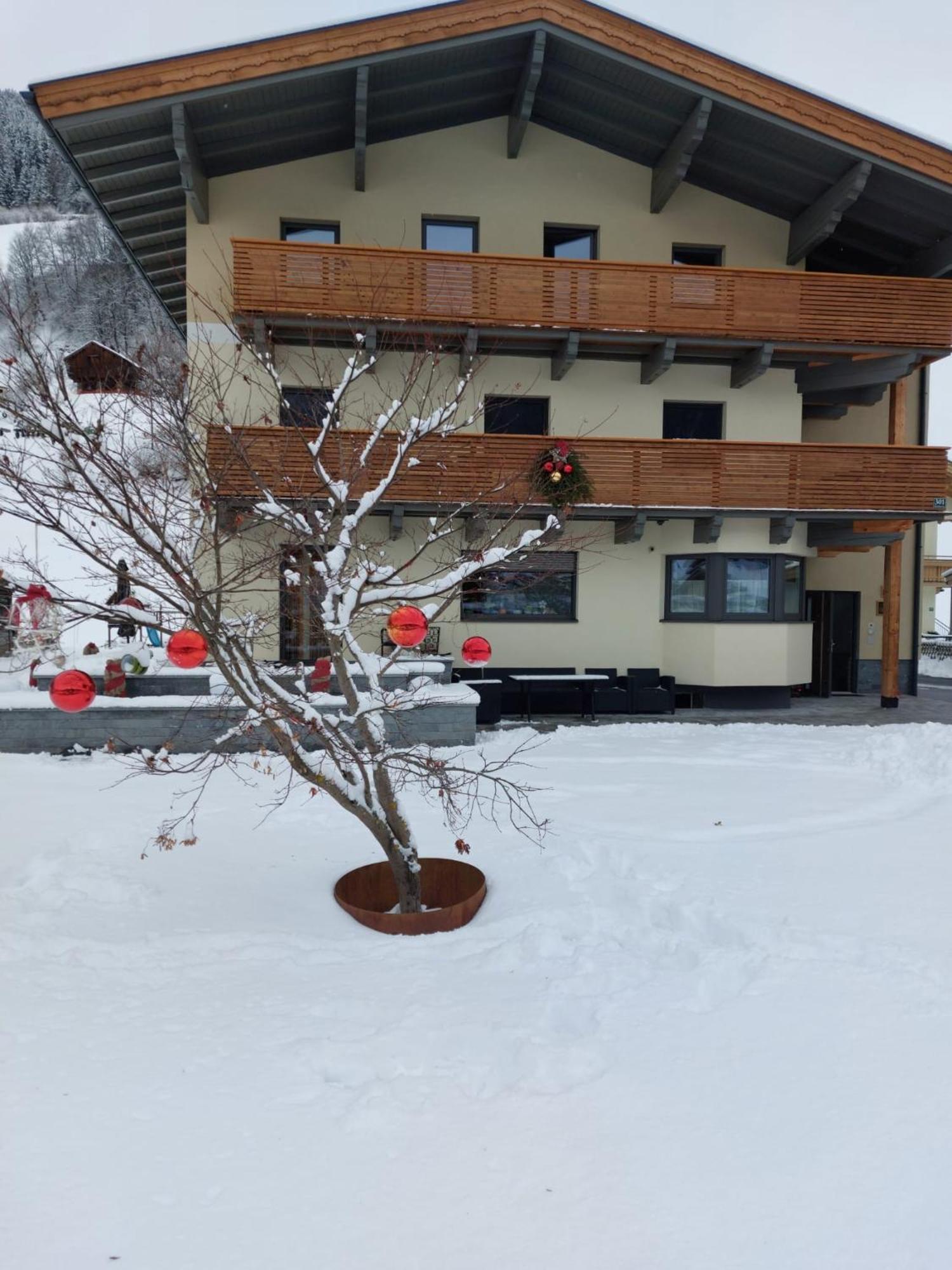 Appartement Reichholf Bramberg am Wildkogel Extérieur photo