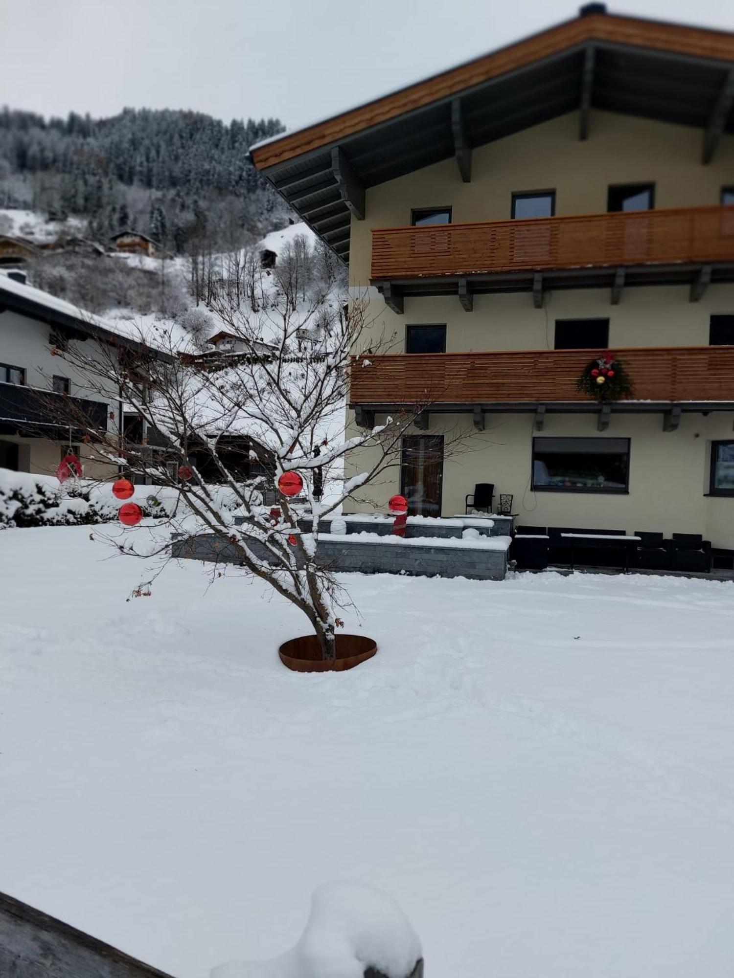Appartement Reichholf Bramberg am Wildkogel Extérieur photo